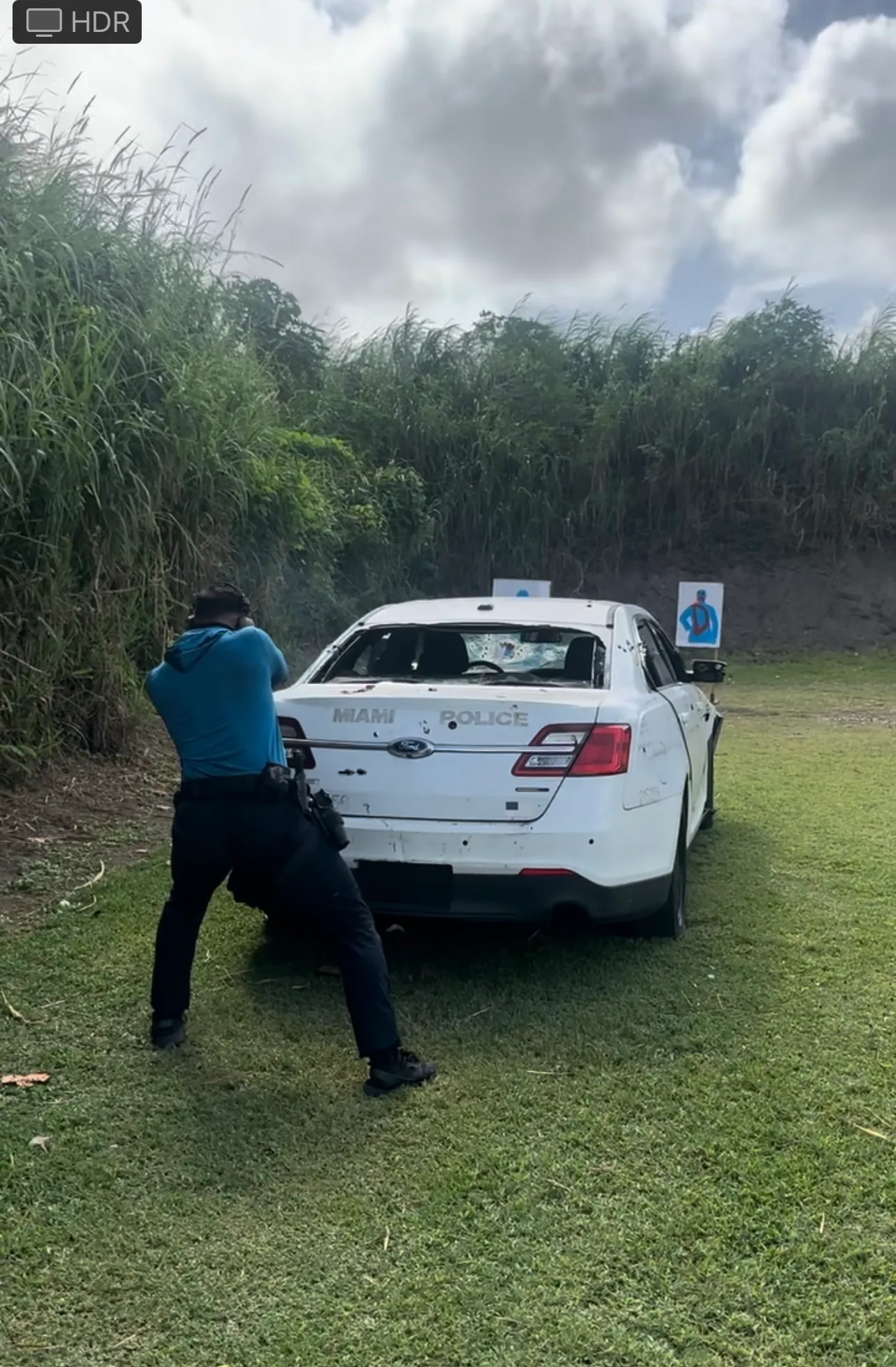 Security professional